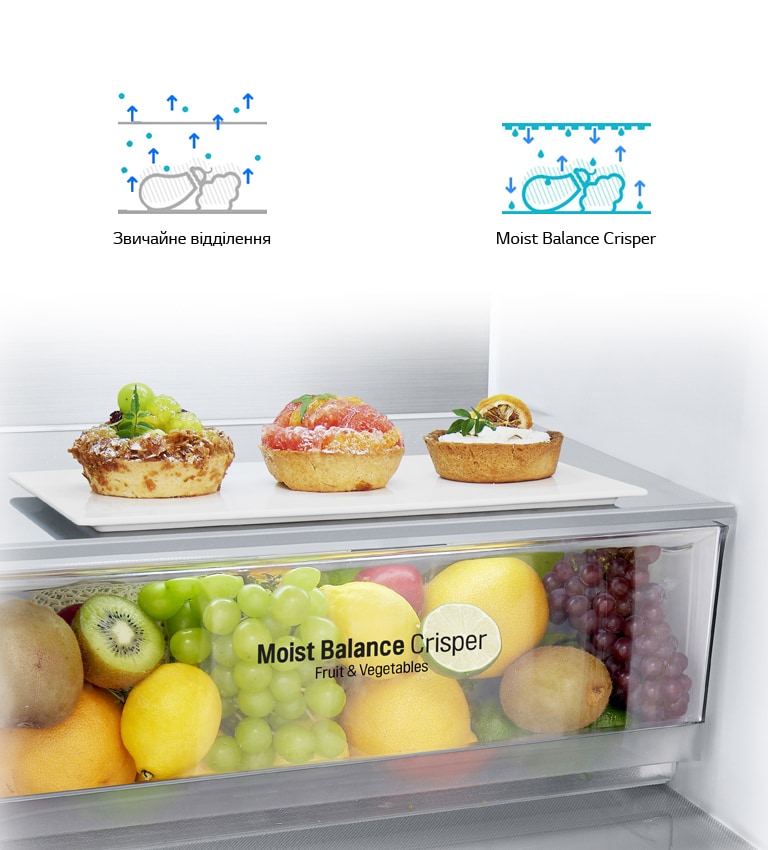 LG 384 л Холодильник з нижньою морозильною камерою DoorCooling+